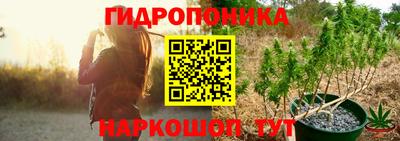 шишки Новозыбков