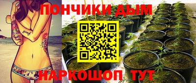 шишки Новозыбков