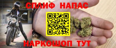 шишки Новозыбков