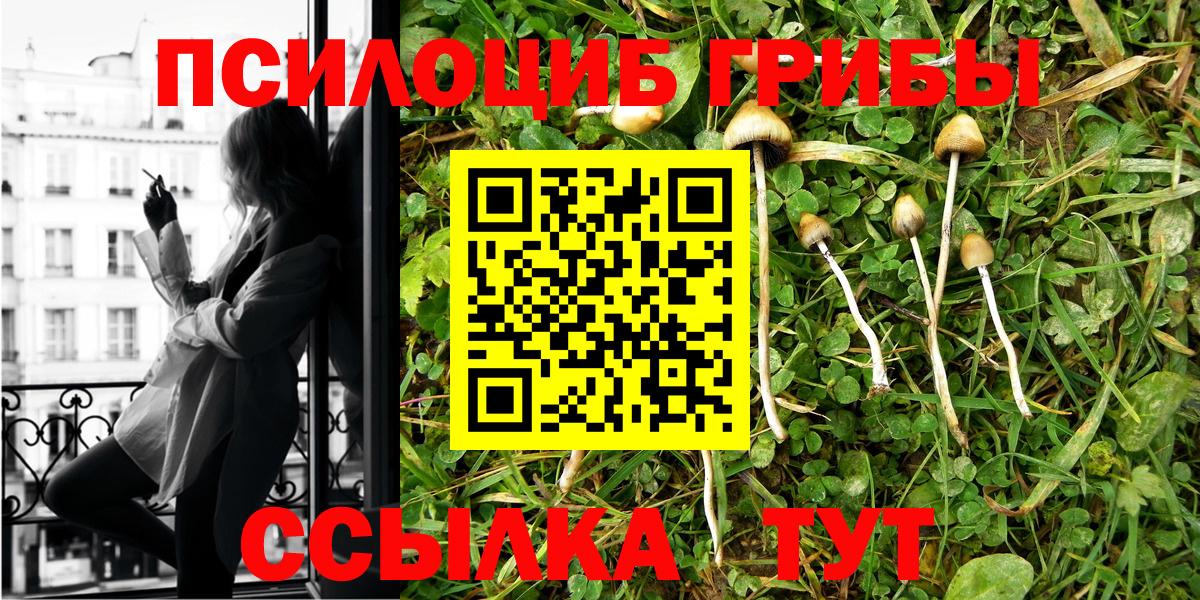 Галлюциногенные грибы Cubensis  что такое   Галлюциногенные грибы ЛСД  Удомля  Вход с VPN 